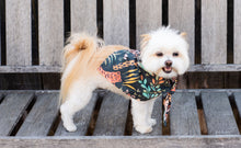 Load image into Gallery viewer, Dog Bandana - Wildwood
