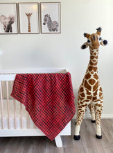 Load image into Gallery viewer, Swaddle - Vail
